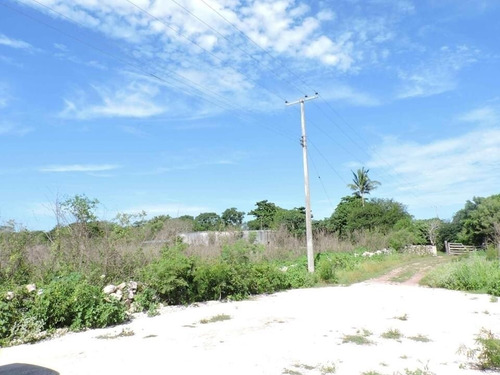 Imagen 11 de 13 de Xamantu Telchac Lotes Campestres Dic 2021
