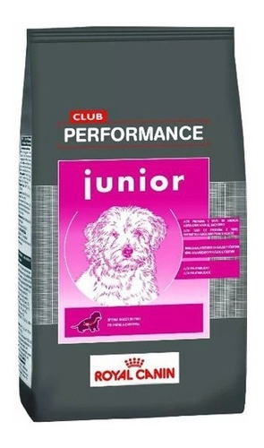 Royal Canin Performance Junior 15 Kg Veterinaria Mr Dog 