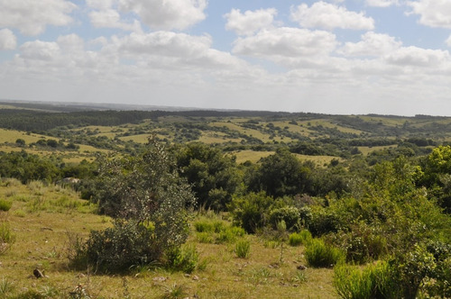 Venta De Chacras De 5 Has Se Ubicado En Garzon - Ref: 2962
