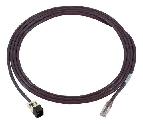 Panduit Patchcord Para Punto De Consolidación Cat 6 Utp 3m 