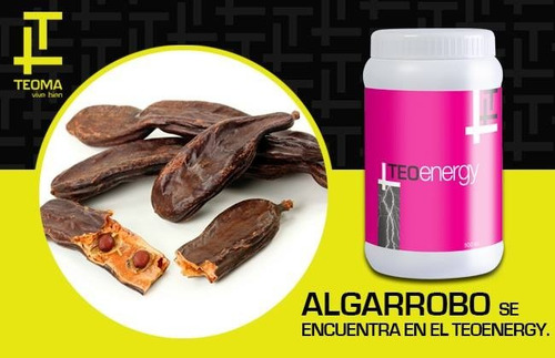 Proteina Musculos Y Tejidos L-carnitina L-arginina Niacin