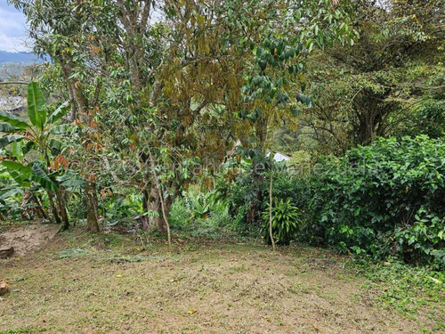 Excelente Casa Dúplex En Venta Potrerito Arriba, San Antonio De San Antonio 23-31186 Edf