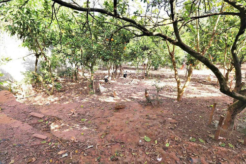 Imagem 14 de 30 de Casa Térrea Com 5 Dormitórios Em Condomínio Na Granja Viana Km 23, 3.348 M² - Ca11051