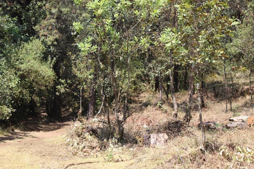 Imagen 6 de 10 de Gran Terreno En Paraje Tetecuintla, Huitzilac, Morelos.