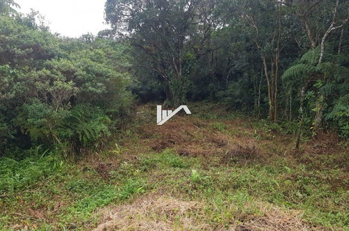 Imagem 2 de 4 de Terreno No Jardim Comendador Em Itanhaém