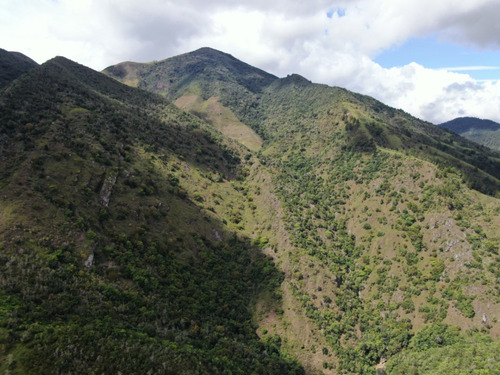 Hermoso Terreno En Venta En Una De Las Zonas Mas Solicitadas En República Dominicana La Joya Que Es Constanza