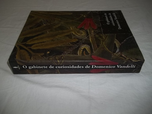 Gabinete Curiosidades Domenico Vandelli Fernanda Camargo Out
