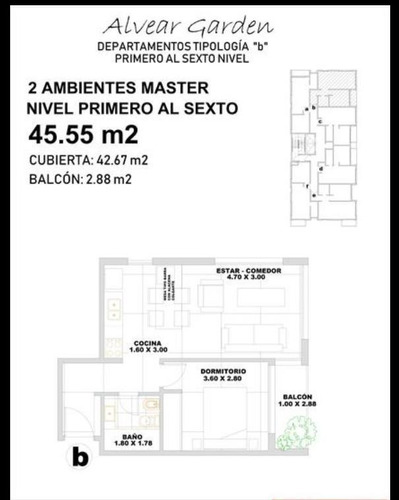 Imagen 7 de 7 de Alvear Garden - Emprendimiento
