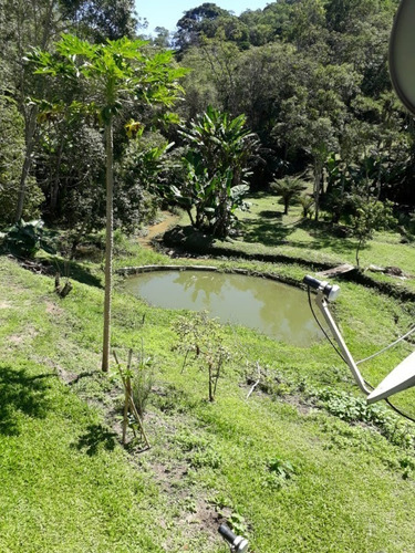 Imagem 7 de 30 de Chacara - 411 - 69484334