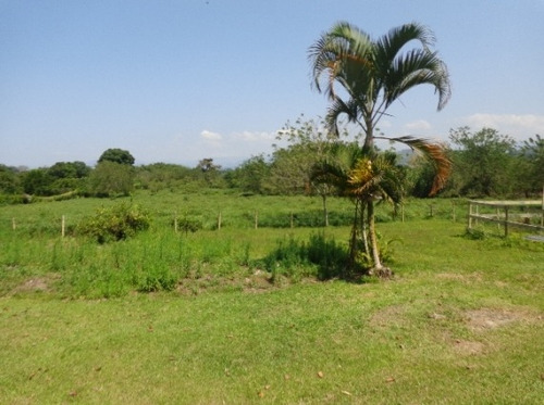 Imagen 29 de 29 de Venta Finca En Santagueda. Cod:305599