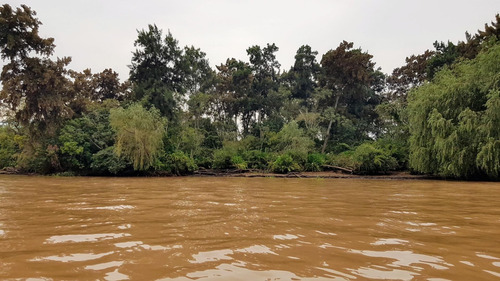 Imagen 27 de 30 de Lote Venta 2da Sección Delta Islas Sobre Paraná De L. Palma