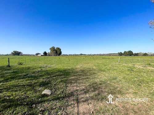 Alquiler De Campo De 10 Has. En Los Cardales