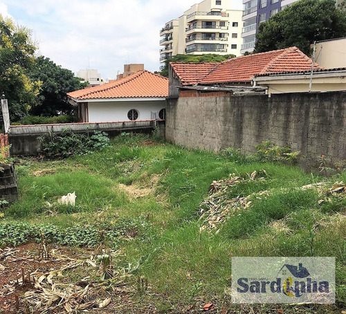 Imagem 7 de 9 de Casa Comercial Em Vila Progredior - São Paulo - 2549