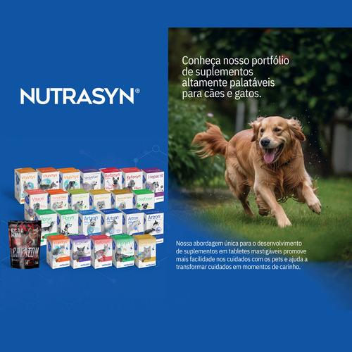 Suplemento Vitamínico Nutrasyn Reforsyn P Gatos 45 Tabletes