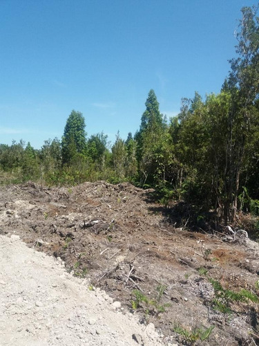 Vende Parcela En Maderos De Puerto Varas
