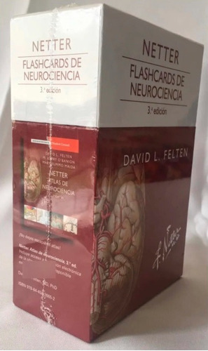 Netter Flashcards De Neurociencia Nuevo Original