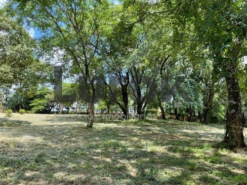 Imagem 10 de 10 de Terreno À Venda Em Vale Verde - Te006031