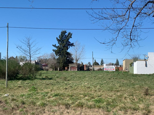 3 Lotes En Bloque O Separados - Barrio San Cayetano