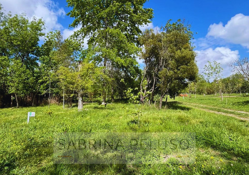 Venta Lote - Las Tres Marias - Moreno - Ruta 25