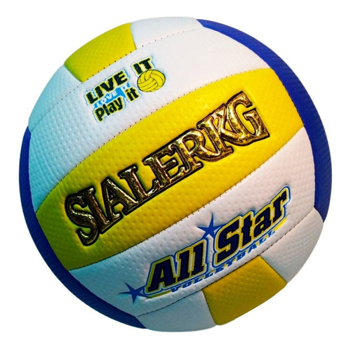 Pelota Voleibol Balón Bolleyball Deporte Ejercicio Juego 