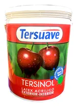 Comprar Pintura Latex Exterior Interior Tersuave Tersinol 10 Litros 