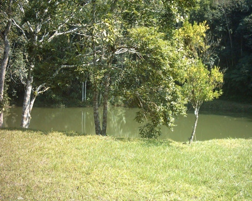 Imagem 17 de 23 de Fazenda Ideal Para Investimentos - 187 - 32982530