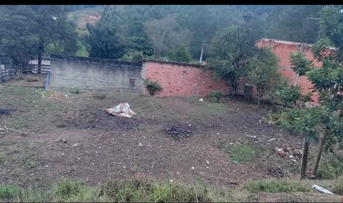 Lote De 350 Mts