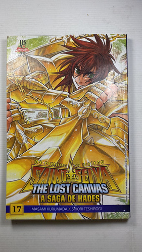 Cavaleiros Do Zodíaco A Saga De Hades Volume 17 (saint Seiya) The Lost Canvas