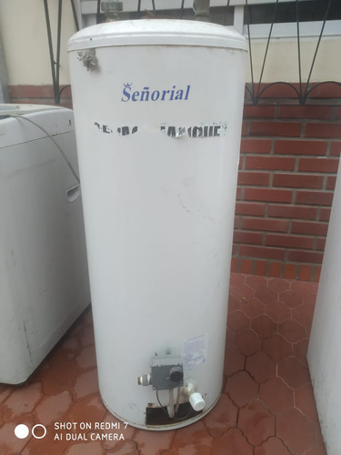 Termotanque Señorial