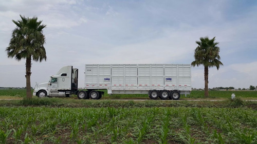 Caja Góndola Volteo Descarga Lateral Múltiple 80m Precio Net