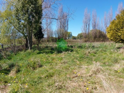 Imagen 5 de 11 de Sitio En Venta En Puyehue