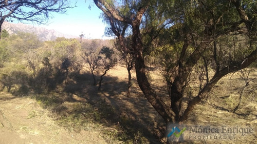 Oportunidada Nuevo Precio Lote En Villa Elena De 7647m2 Ideal Cabañeros Cortaderas San Luis
