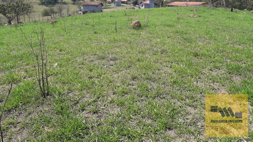 Imagem 2 de 13 de Terreno Em Monte Negro - Santa Isabel - 4041
