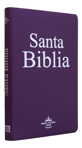 Biblia Rvr60 Manual Delgada Imitación Piel Lila (776058)