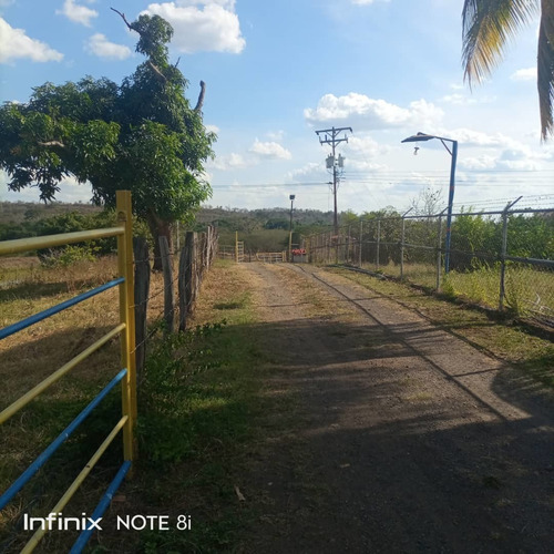 Imagen 6 de 14 de En Venta Finca Vía Altagracia De Orituco, Att Rc-ln