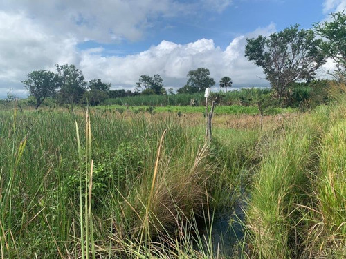 Imagen 1 de 2 de Terreno En Venta Francisco J. Mujica