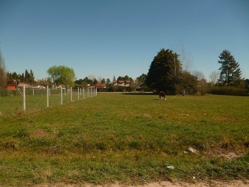 Imagen 3 de 5 de Terreno En Venta De 720m2 Ubicado En Barrio Parque Sakura