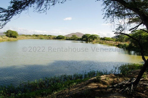 Imagen 26 de 30 de Fina En Venta Quibor Estado Lara, 04245937542