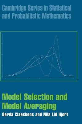 Libro Cambridge Series In Statistical And Probabilistic M...