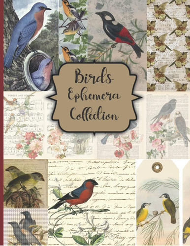 Libro: Birds Ephemera Collection: A Beautiful Collection For