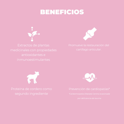 Nupec Nutrición Científica Raza Mini Perro Senior 1kg