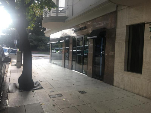 Imagen 8 de 11 de Alvear Y Posadas 10 X 8 Local Venta Con Renta