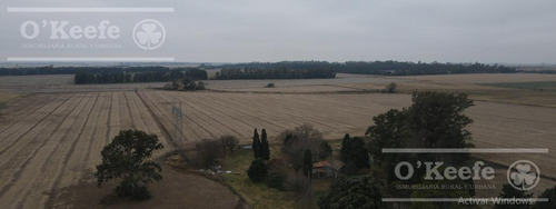 Imagen 8 de 29 de Chacra Agricola En Venta 32 Has- San Pedro