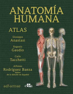 Libro Anatomía Humana Atlas 2 ª Ed  De Edi-ermes