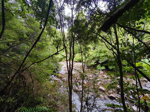 Remate 1 Há Costa De Rio, Lago Chapo. Pm. (169510)