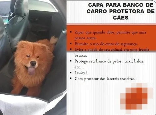 Capa Banco Proteçao Cachorro