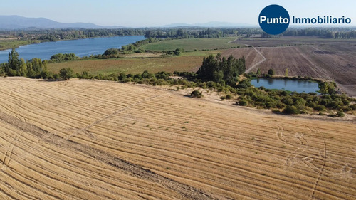 Imagen 11 de 13 de Rodeado De Lagunas. Apto Frutales.