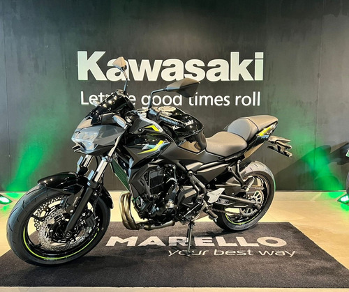 Kawasaki Z 650 2023/2024