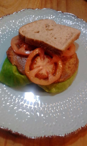 Churrasquitos De Seitan