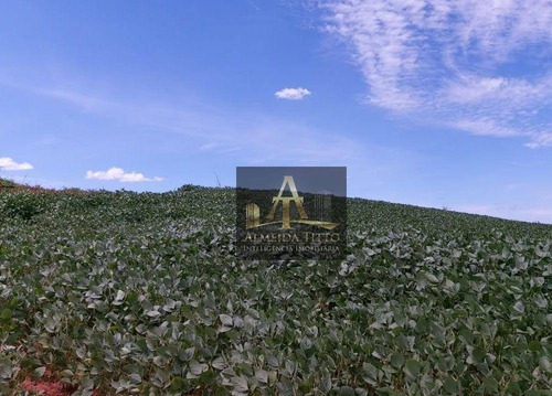 Imagem 24 de 26 de Excelente Fazenda Para Venda Na Cidade De Mogi Guaçu - Sp - Confira!!!! - Fa0025